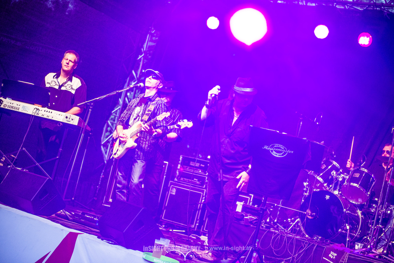 VHP_DONAUINSELFEST_20140629_056