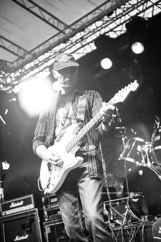 VHP_DONAUINSELFEST_20140629_060