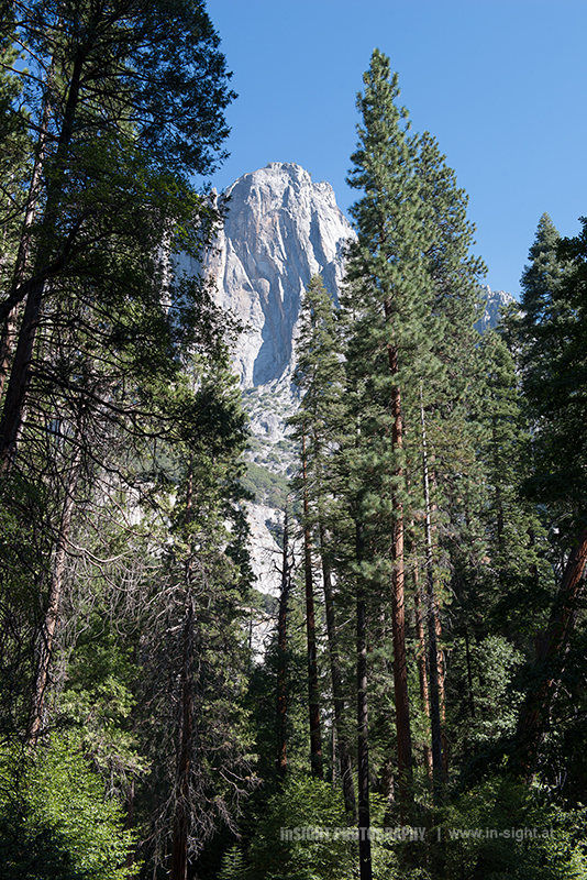 Yosemite National Park