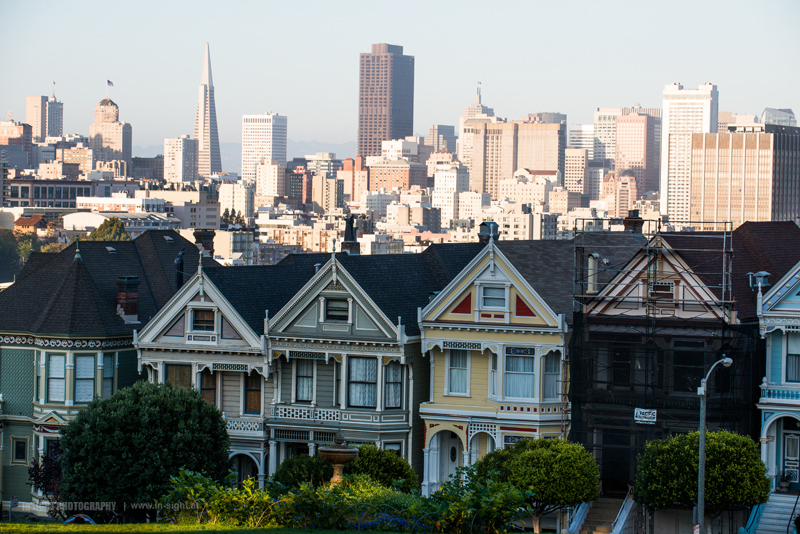 Painted Ladies