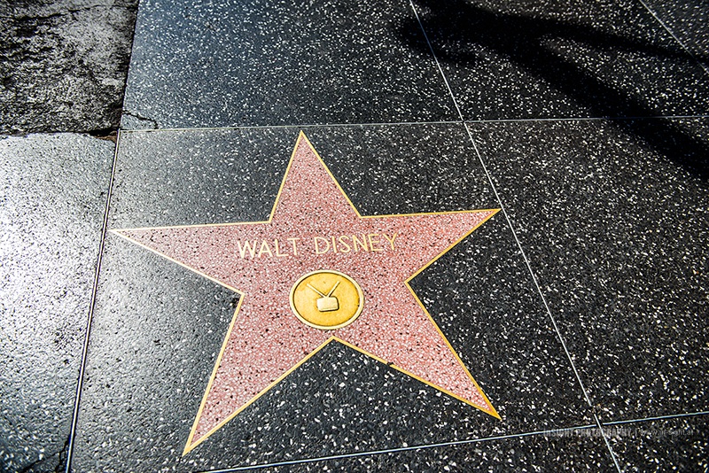 Walt Disney's Star