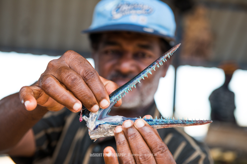 Scull of a Barracuda